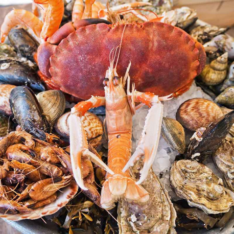 Plateau de fruits de mer "Découverte"